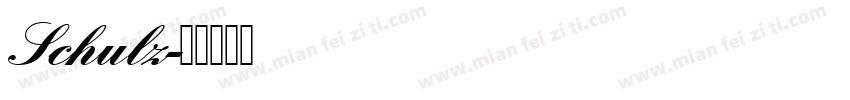 Schulz字体转换