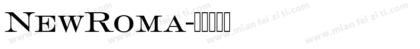 NewRoma字体转换