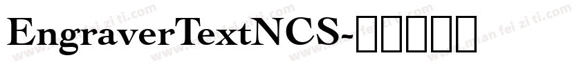 EngraverTextNCS字体转换