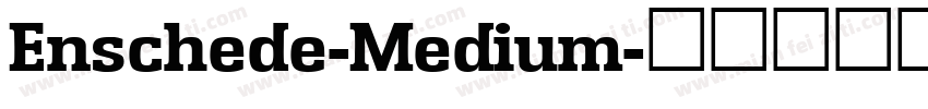 Enschede-Medium字体转换