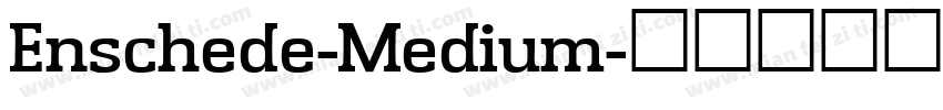 Enschede-Medium字体转换