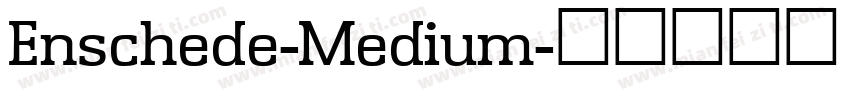Enschede-Medium字体转换