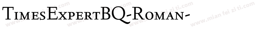 TimesExpertBQ-Roman字体转换