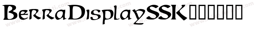 BerraDisplaySSK字体转换