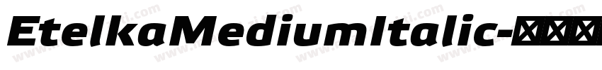 EtelkaMediumItalic字体转换