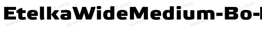 EtelkaWideMedium-Bo字体转换