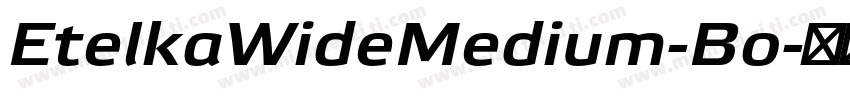 EtelkaWideMedium-Bo字体转换
