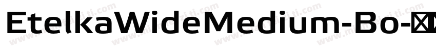 EtelkaWideMedium-Bo字体转换