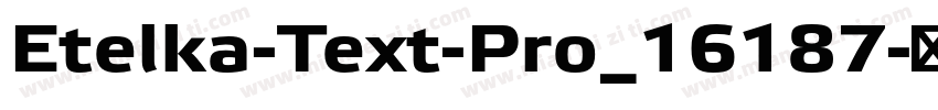 Etelka-Text-Pro_16187字体转换