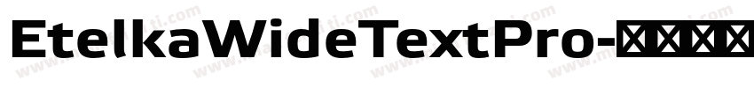 EtelkaWideTextPro字体转换