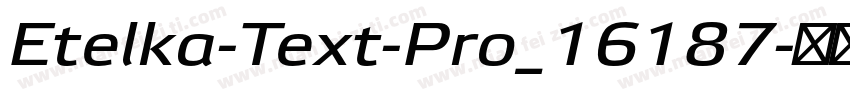 Etelka-Text-Pro_16187字体转换