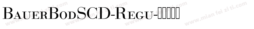 BauerBodSCD-Regu字体转换
