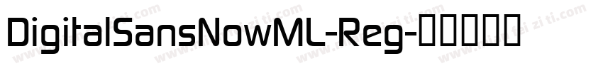 DigitalSansNowML-Reg字体转换