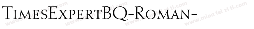 TimesExpertBQ-Roman字体转换