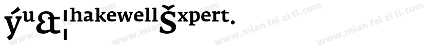 Hu_ShakewellExpert字体转换