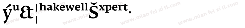 Hu_ShakewellExpert字体转换