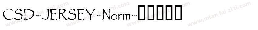 CSD-JERSEY-Norm字体转换