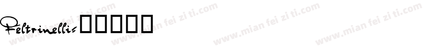 Feltrinelli字体转换