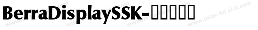 BerraDisplaySSK字体转换