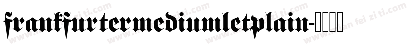 frankfurtermediumletplain字体转换