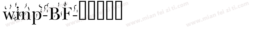 winp-BF字体转换