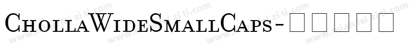 ChollaWideSmallCaps字体转换