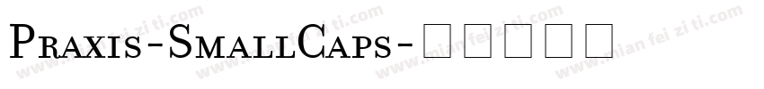 Praxis-SmallCaps字体转换