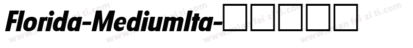 Florida-MediumIta字体转换