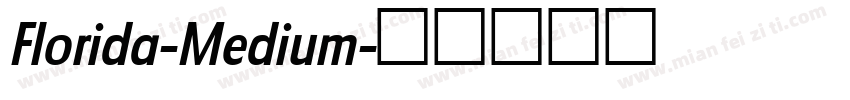 Florida-Medium字体转换