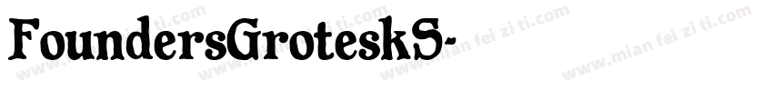 FoundersGroteskS字体转换