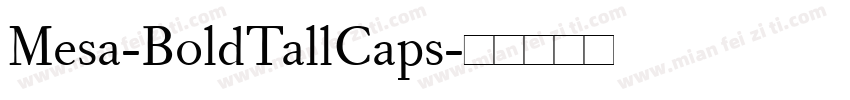 Mesa-BoldTallCaps字体转换