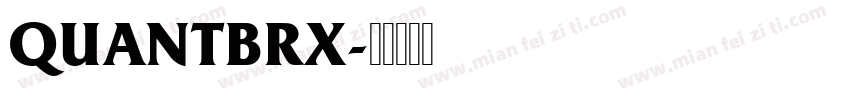 QUANTBRX字体转换