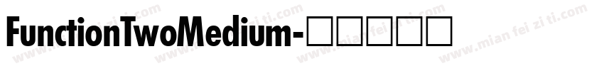 FunctionTwoMedium字体转换