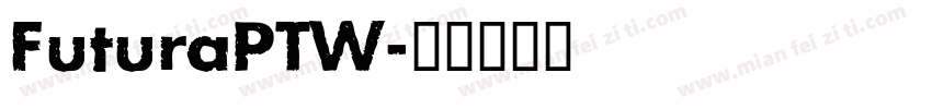FuturaPTW字体转换