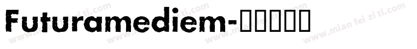 Futuramediem字体转换