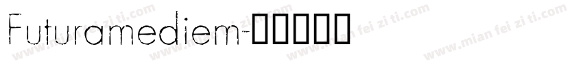 Futuramediem字体转换