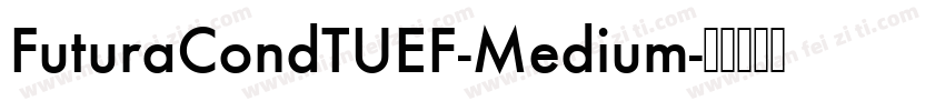 FuturaCondTUEF-Medium字体转换