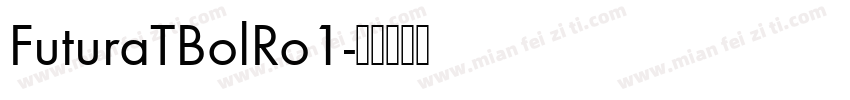 FuturaTBolRo1字体转换
