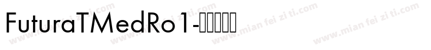 FuturaTMedRo1字体转换
