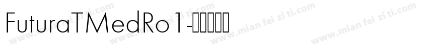 FuturaTMedRo1字体转换