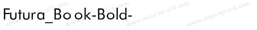 Futura_Book-Bold字体转换