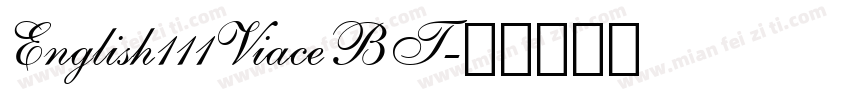 English111ViaceBT字体转换