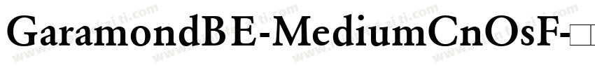 GaramondBE-MediumCnOsF字体转换