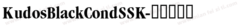 KudosBlackCondSSK字体转换