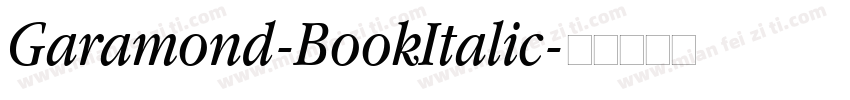 Garamond-BookItalic字体转换