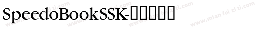 SpeedoBookSSK字体转换