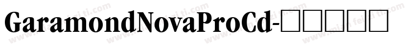 GaramondNovaProCd字体转换