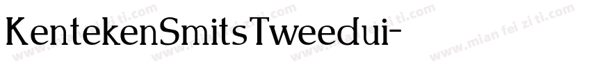 KentekenSmitsTweedui字体转换
