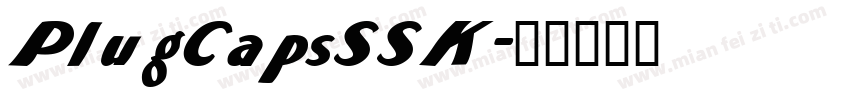 PlugCapsSSK字体转换