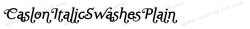 CaslonItalicSwashesPlain字体转换